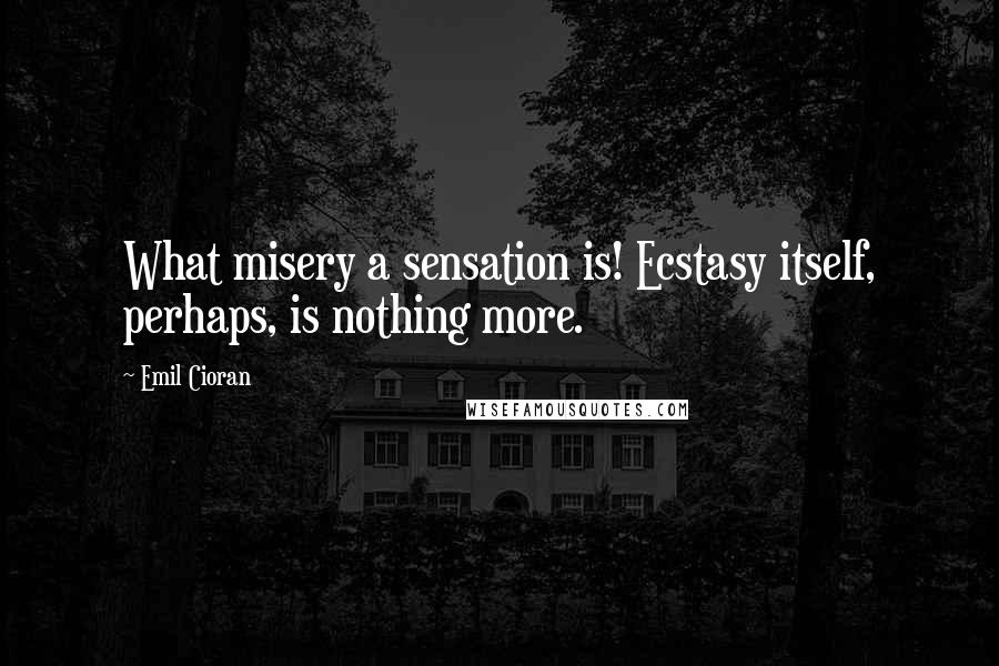 Emil Cioran Quotes: What misery a sensation is! Ecstasy itself, perhaps, is nothing more.