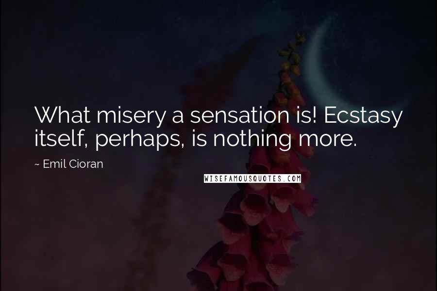 Emil Cioran Quotes: What misery a sensation is! Ecstasy itself, perhaps, is nothing more.