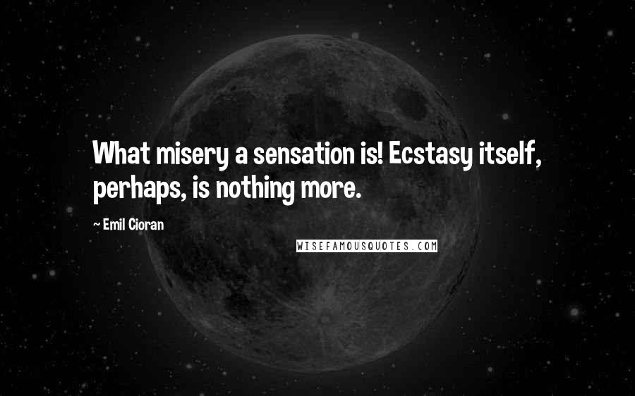 Emil Cioran Quotes: What misery a sensation is! Ecstasy itself, perhaps, is nothing more.