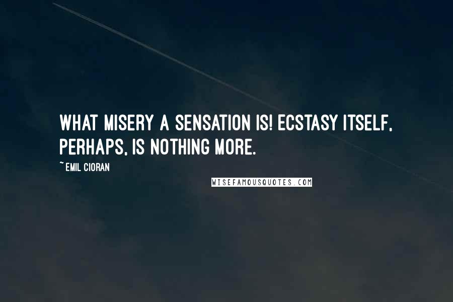 Emil Cioran Quotes: What misery a sensation is! Ecstasy itself, perhaps, is nothing more.