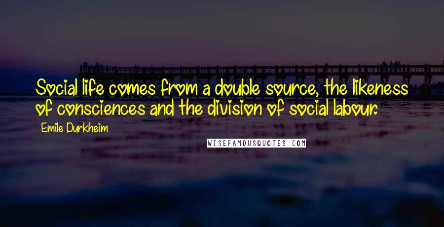 Emile Durkheim Quotes: Social life comes from a double source, the likeness of consciences and the division of social labour.