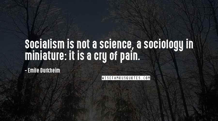 Emile Durkheim Quotes: Socialism is not a science, a sociology in miniature: it is a cry of pain.