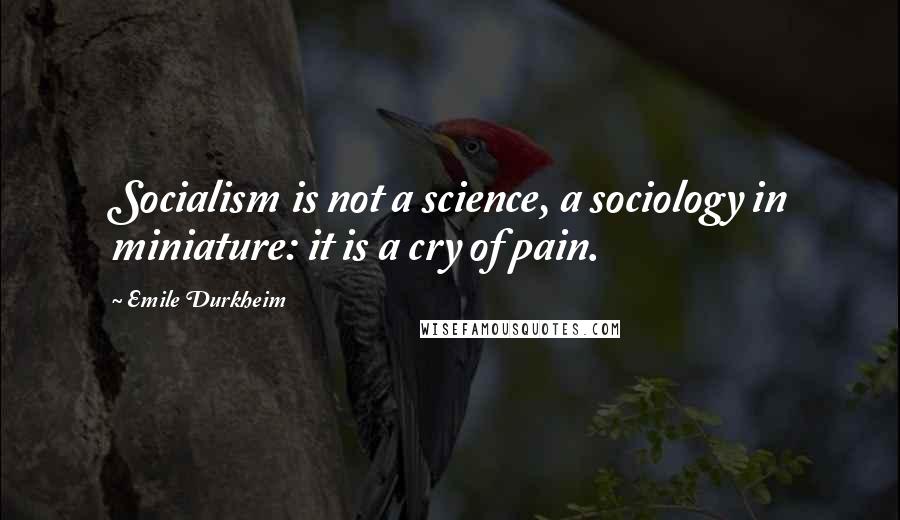 Emile Durkheim Quotes: Socialism is not a science, a sociology in miniature: it is a cry of pain.