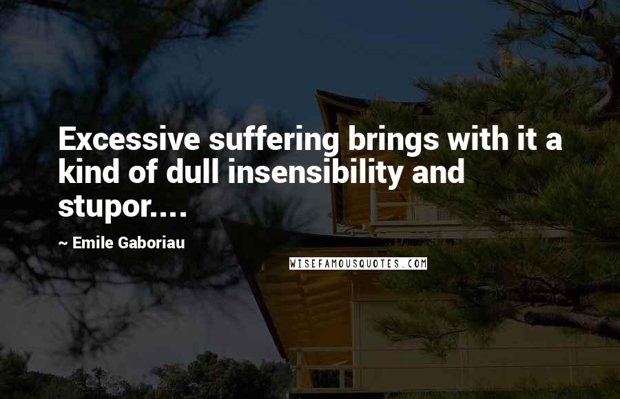 Emile Gaboriau Quotes: Excessive suffering brings with it a kind of dull insensibility and stupor....