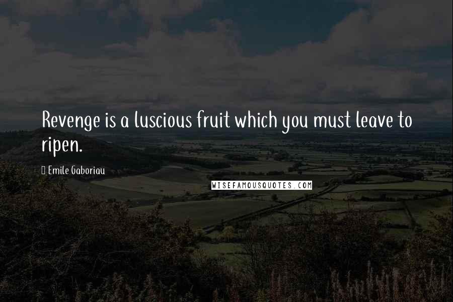 Emile Gaboriau Quotes: Revenge is a luscious fruit which you must leave to ripen.