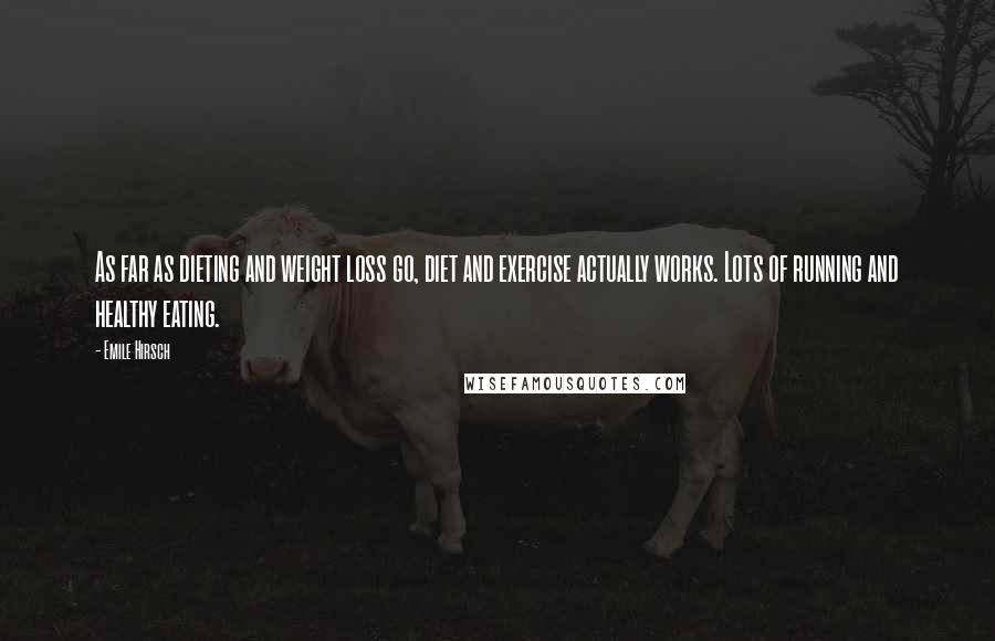 Emile Hirsch Quotes: As far as dieting and weight loss go, diet and exercise actually works. Lots of running and healthy eating.