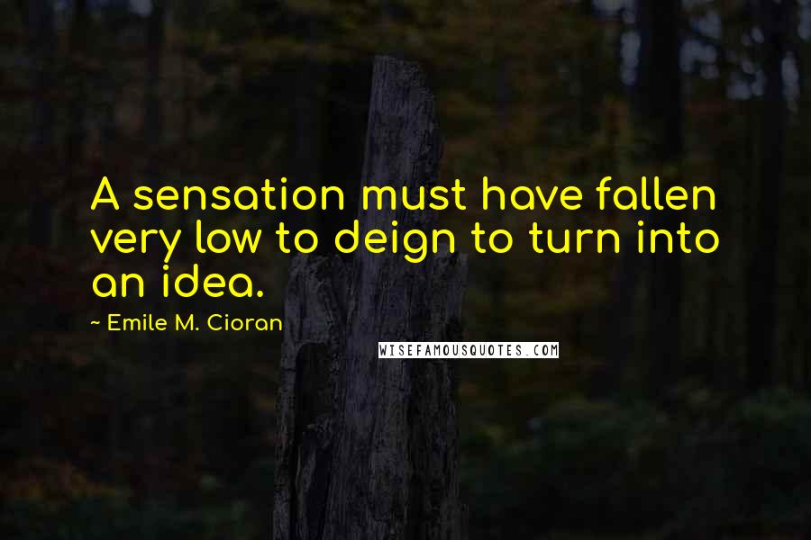 Emile M. Cioran Quotes: A sensation must have fallen very low to deign to turn into an idea.
