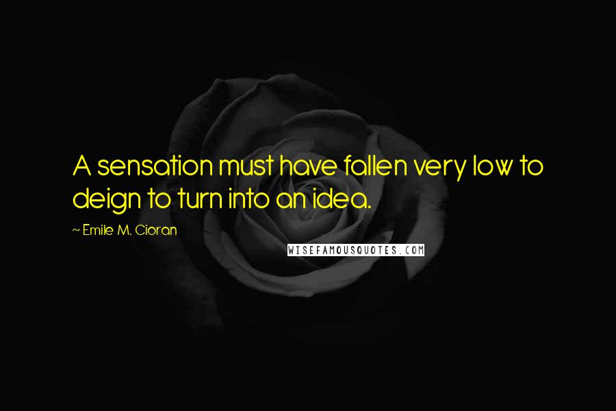 Emile M. Cioran Quotes: A sensation must have fallen very low to deign to turn into an idea.