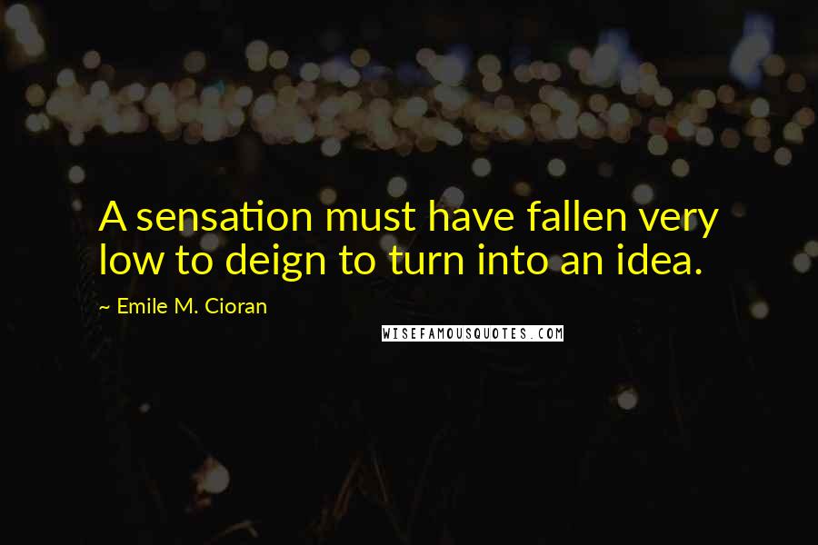 Emile M. Cioran Quotes: A sensation must have fallen very low to deign to turn into an idea.