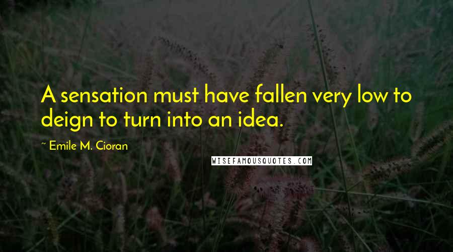 Emile M. Cioran Quotes: A sensation must have fallen very low to deign to turn into an idea.