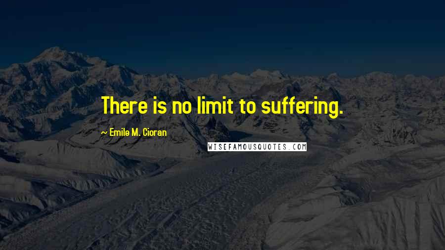 Emile M. Cioran Quotes: There is no limit to suffering.