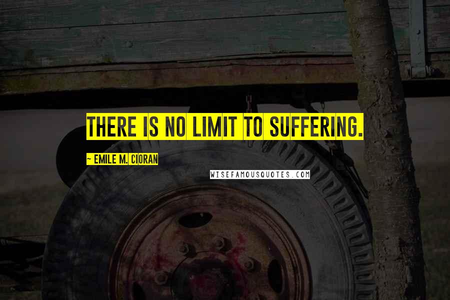 Emile M. Cioran Quotes: There is no limit to suffering.