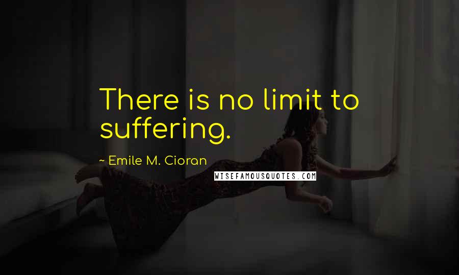 Emile M. Cioran Quotes: There is no limit to suffering.