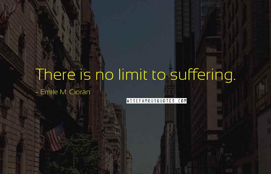 Emile M. Cioran Quotes: There is no limit to suffering.