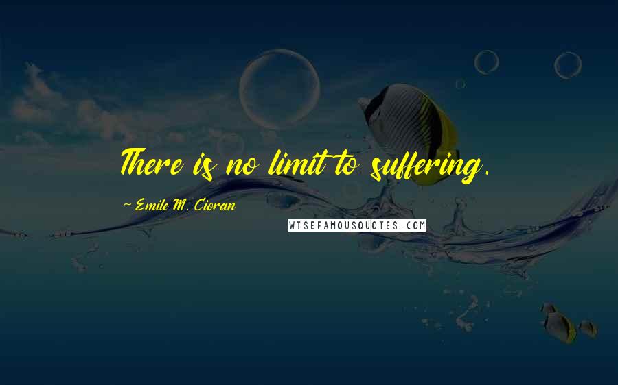 Emile M. Cioran Quotes: There is no limit to suffering.