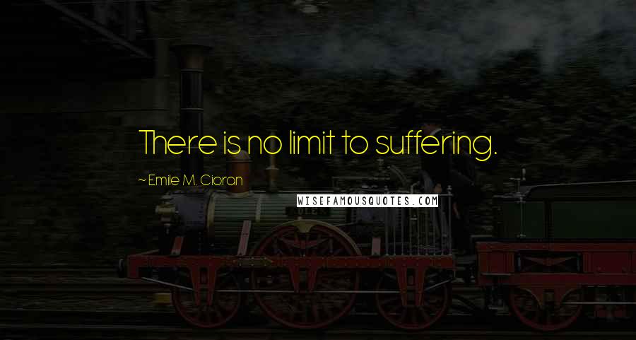 Emile M. Cioran Quotes: There is no limit to suffering.