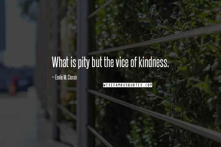 Emile M. Cioran Quotes: What is pity but the vice of kindness.