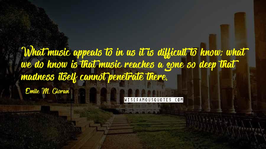 Emile M. Cioran Quotes: What music appeals to in us it is difficult to know; what we do know is that music reaches a zone so deep that madness itself cannot penetrate there.