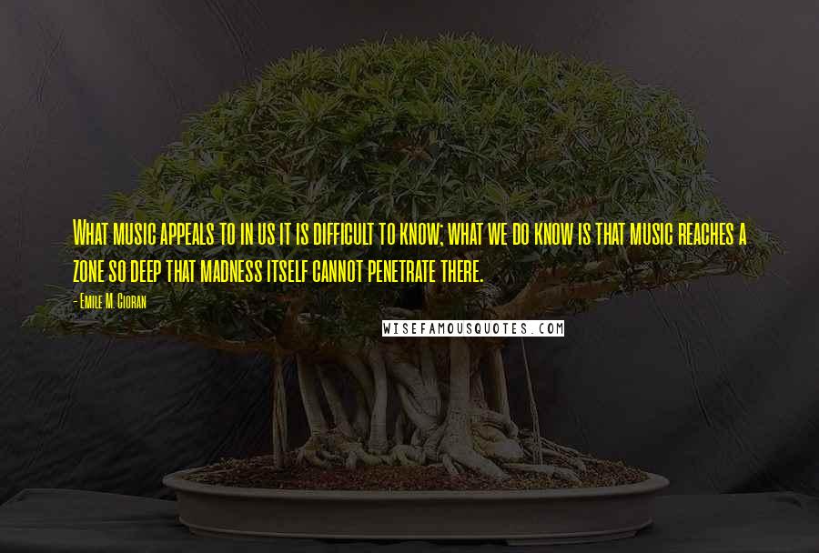 Emile M. Cioran Quotes: What music appeals to in us it is difficult to know; what we do know is that music reaches a zone so deep that madness itself cannot penetrate there.