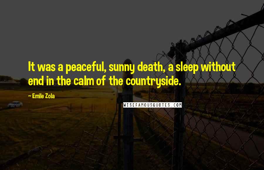 Emile Zola Quotes: It was a peaceful, sunny death, a sleep without end in the calm of the countryside.