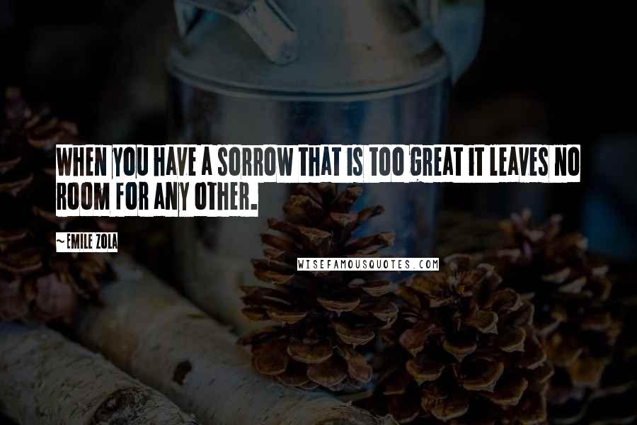 Emile Zola Quotes: When you have a sorrow that is too great it leaves no room for any other.