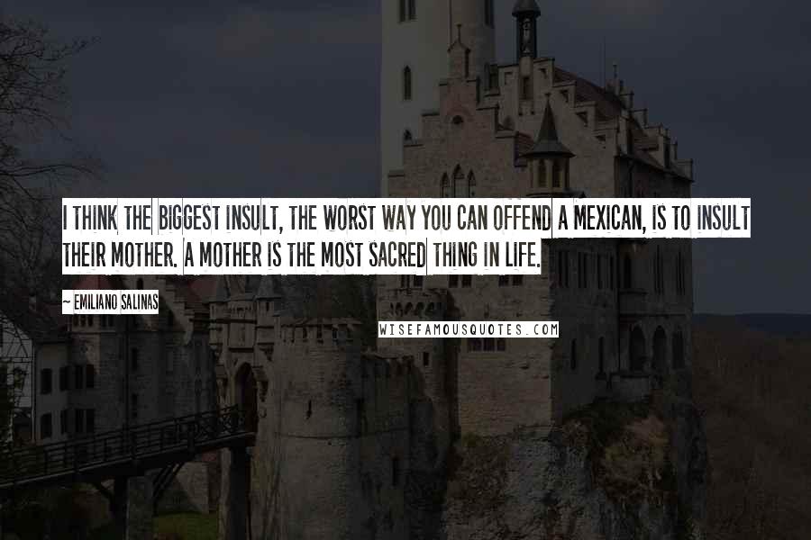 Emiliano Salinas Quotes: I think the biggest insult, the worst way you can offend a Mexican, is to insult their mother. A mother is the most sacred thing in life.