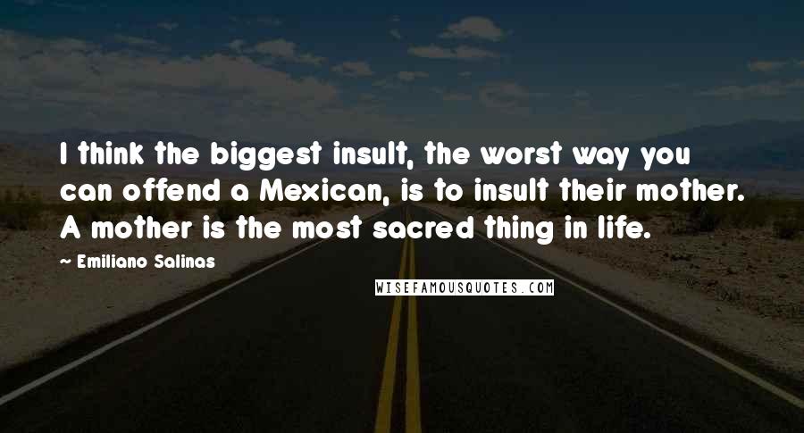 Emiliano Salinas Quotes: I think the biggest insult, the worst way you can offend a Mexican, is to insult their mother. A mother is the most sacred thing in life.