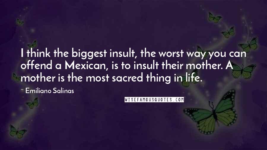 Emiliano Salinas Quotes: I think the biggest insult, the worst way you can offend a Mexican, is to insult their mother. A mother is the most sacred thing in life.