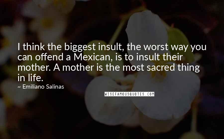 Emiliano Salinas Quotes: I think the biggest insult, the worst way you can offend a Mexican, is to insult their mother. A mother is the most sacred thing in life.