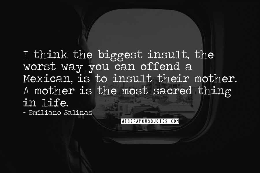 Emiliano Salinas Quotes: I think the biggest insult, the worst way you can offend a Mexican, is to insult their mother. A mother is the most sacred thing in life.