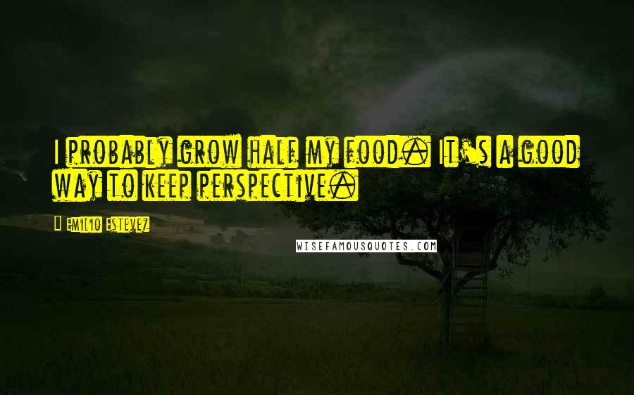 Emilio Estevez Quotes: I probably grow half my food. It's a good way to keep perspective.