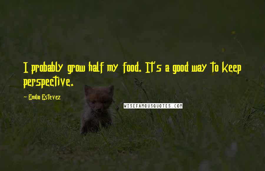 Emilio Estevez Quotes: I probably grow half my food. It's a good way to keep perspective.