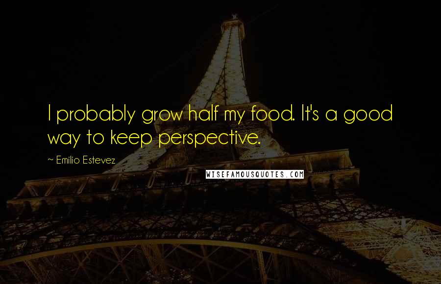 Emilio Estevez Quotes: I probably grow half my food. It's a good way to keep perspective.
