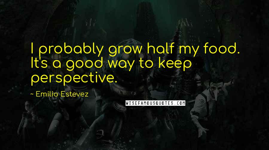 Emilio Estevez Quotes: I probably grow half my food. It's a good way to keep perspective.