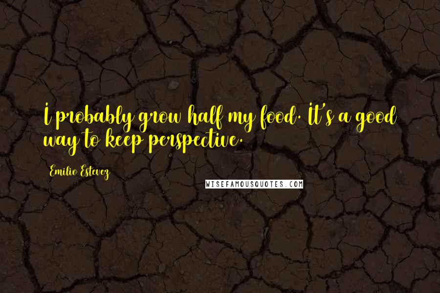 Emilio Estevez Quotes: I probably grow half my food. It's a good way to keep perspective.