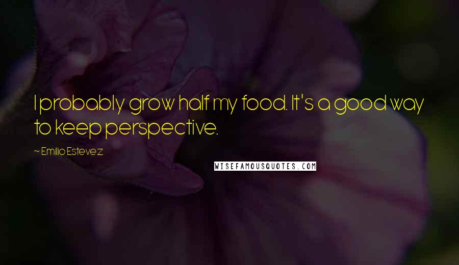 Emilio Estevez Quotes: I probably grow half my food. It's a good way to keep perspective.