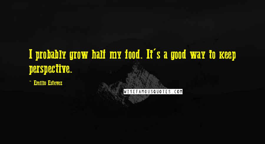 Emilio Estevez Quotes: I probably grow half my food. It's a good way to keep perspective.