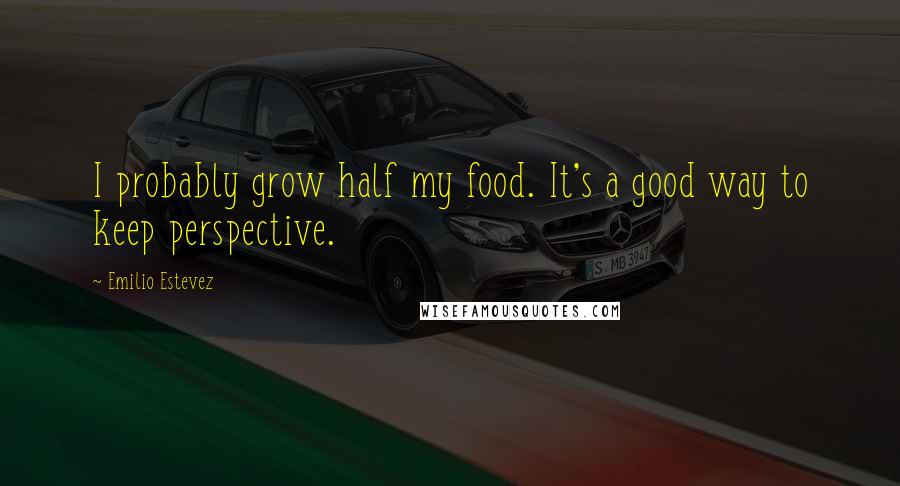 Emilio Estevez Quotes: I probably grow half my food. It's a good way to keep perspective.