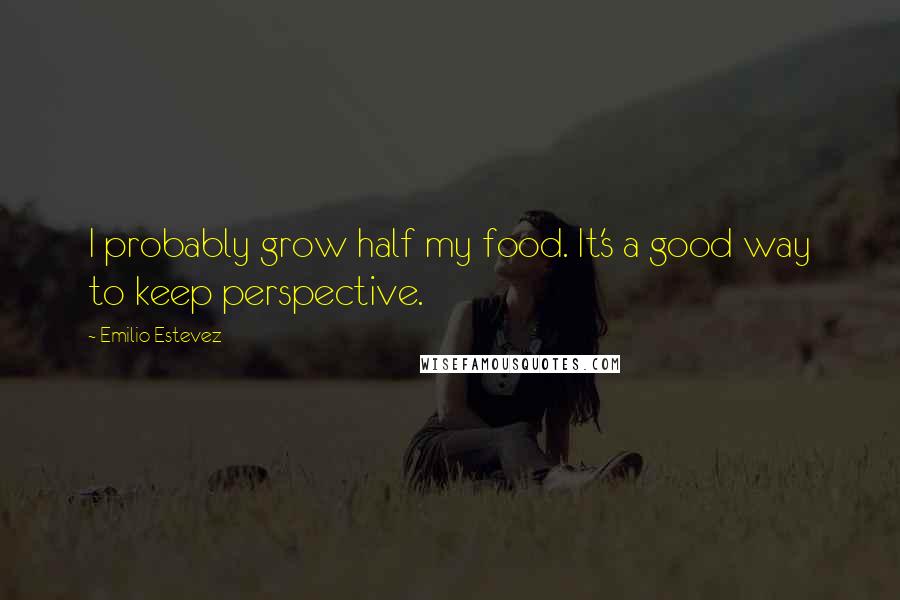 Emilio Estevez Quotes: I probably grow half my food. It's a good way to keep perspective.