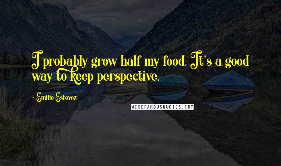 Emilio Estevez Quotes: I probably grow half my food. It's a good way to keep perspective.