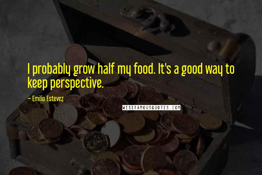 Emilio Estevez Quotes: I probably grow half my food. It's a good way to keep perspective.