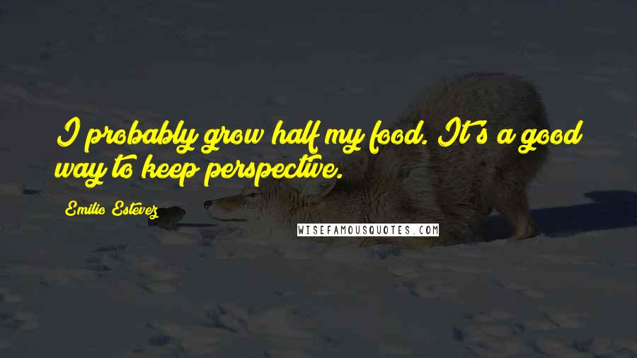 Emilio Estevez Quotes: I probably grow half my food. It's a good way to keep perspective.