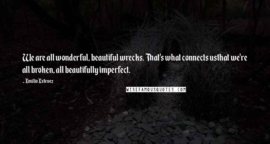 Emilio Estevez Quotes: We are all wonderful, beautiful wrecks. That's what connects usthat we're all broken, all beautifully imperfect.