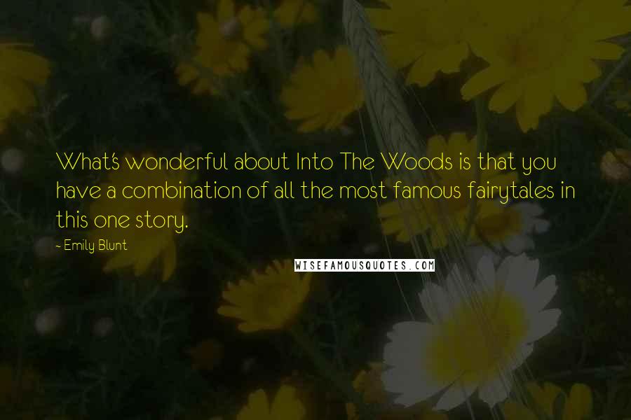 Emily Blunt Quotes: What's wonderful about Into The Woods is that you have a combination of all the most famous fairytales in this one story.
