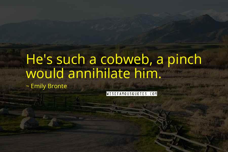 Emily Bronte Quotes: He's such a cobweb, a pinch would annihilate him.