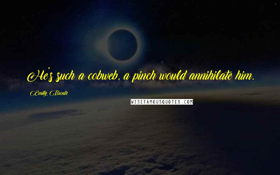 Emily Bronte Quotes: He's such a cobweb, a pinch would annihilate him.
