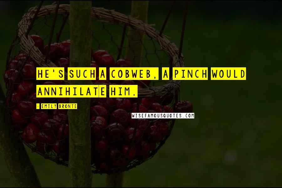 Emily Bronte Quotes: He's such a cobweb, a pinch would annihilate him.