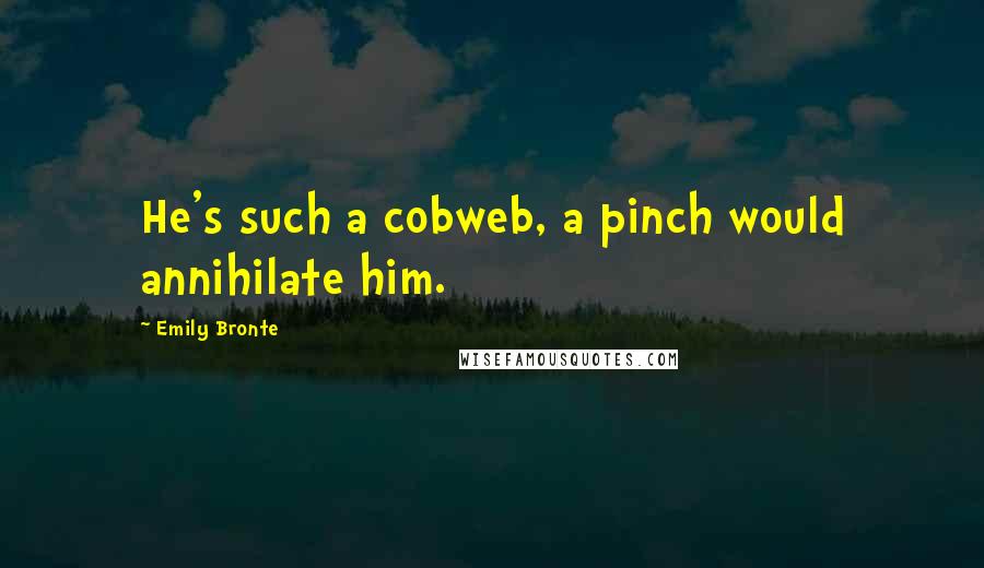 Emily Bronte Quotes: He's such a cobweb, a pinch would annihilate him.