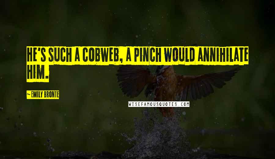 Emily Bronte Quotes: He's such a cobweb, a pinch would annihilate him.