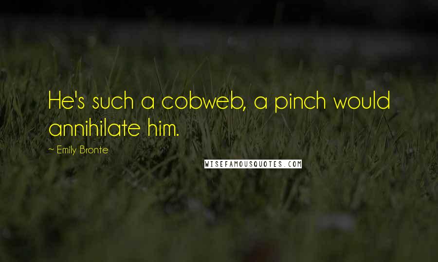 Emily Bronte Quotes: He's such a cobweb, a pinch would annihilate him.